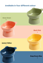 High-Foot Cartoon Bear Pet Bowl – Anti-Spill, Neck-Protective Design - Image 3