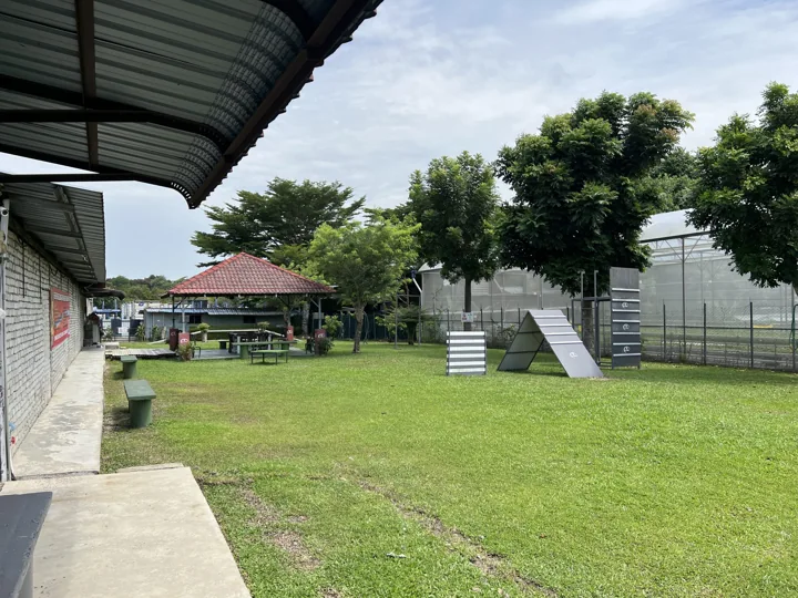 Actual outdoor grounds at G-Pet in Shah Alam