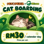 Petopedia × G-Pet cat boarding, RM30 per calendar day