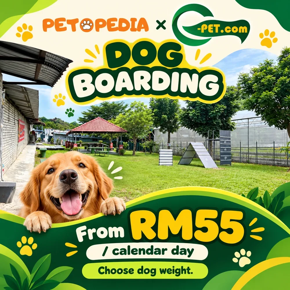 Petopedia × G-Pet dog boarding by weight, from RM55 per calendar day