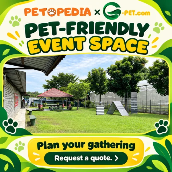 Petopedia × G-Pet event space for pet gatherings; enquire for a quote
