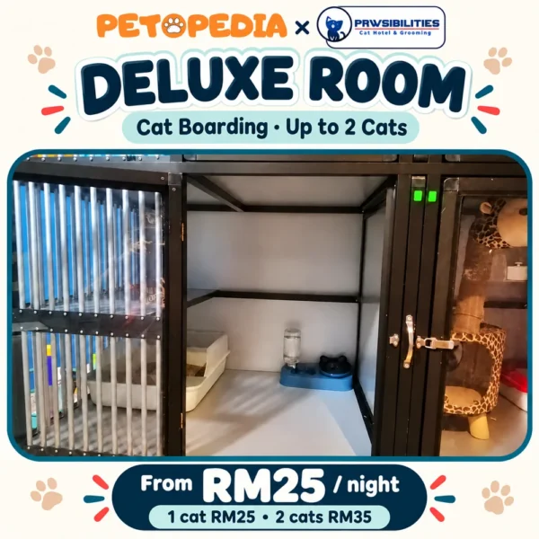 Petopedia × Pawsibilities Deluxe cat boarding, RM25 per night for one cat and RM35 for two