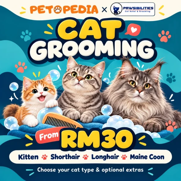Petopedia × Pawsibilities cat grooming, from RM30, with age and coat choices