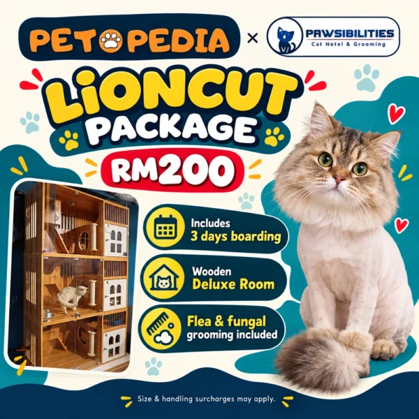 Petopedia × Pawsibilities Lioncut package RM200 including three days of Wooden Deluxe boarding