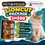 Petopedia × Pawsibilities Lioncut package RM200 including three days of Wooden Deluxe boarding