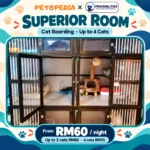Petopedia × Pawsibilities Superior cat boarding, RM60 per night for one to three cats and RM70 for four