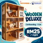 Petopedia × Pawsibilities Wooden Deluxe boarding for one cat, RM25 per night