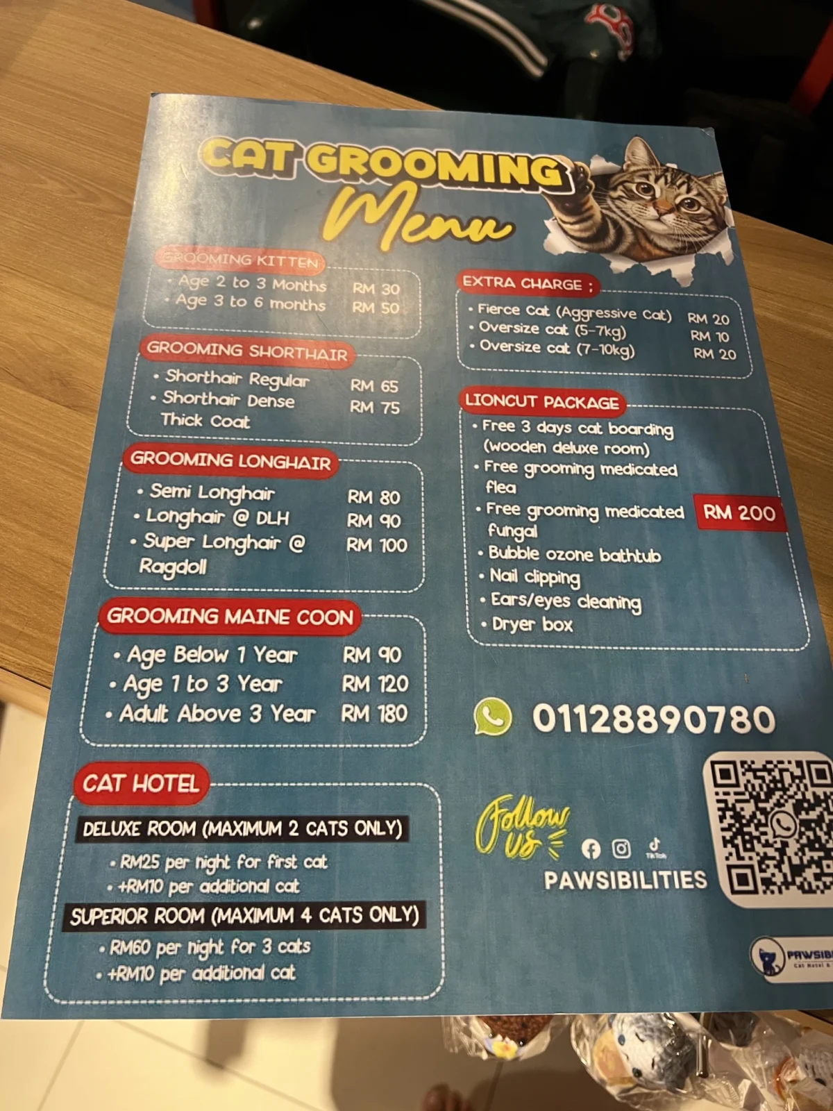 Cat Grooming by Age & Coat — Petopedia × Pawsibilities - Image 2