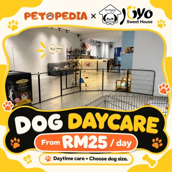 Petopedia × YoYo Sweet House dog daycare, with size-based daily prices