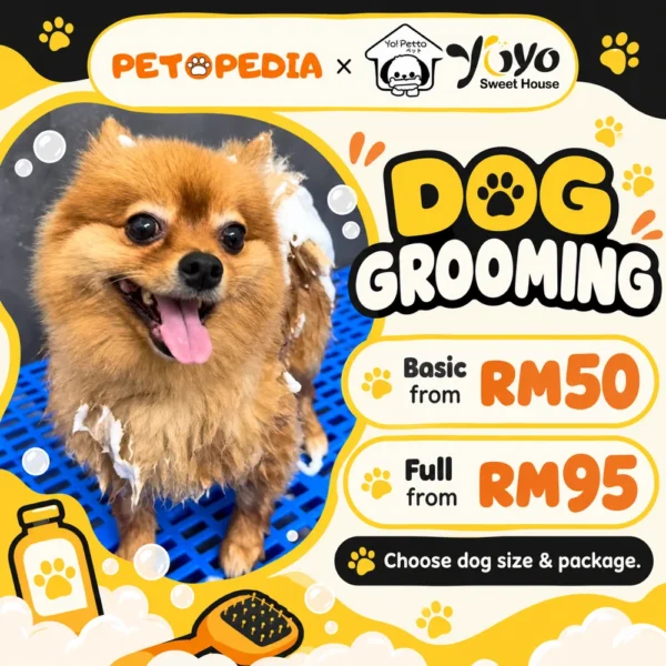 Petopedia × YoYo Sweet House Basic and Full dog grooming, priced by size
