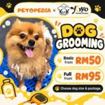 Petopedia × YoYo Sweet House Basic and Full dog grooming, priced by size