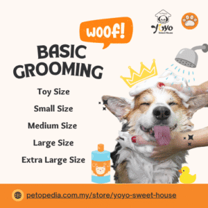 Basic Grooming- YoYo Sweet House