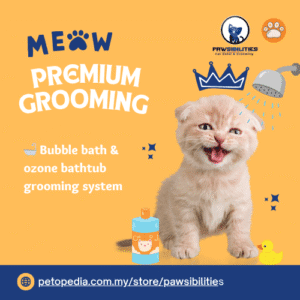 Premium Cat Grooming- Pawsibilities