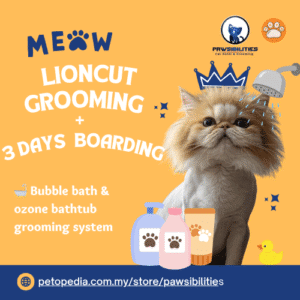 Lioncut Exclusive Package