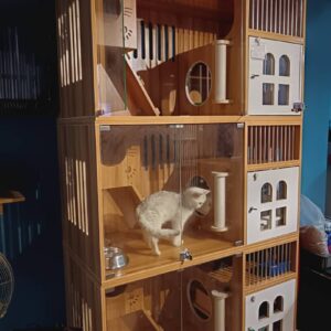 Wooden Deluxe (1 cat only)