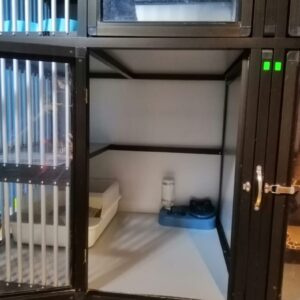 Deluxe Room (maximum 2 cats only)