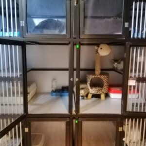 Superior Room (maximum 4 cats only)