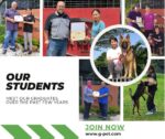 Dog Trainer Academy — Petopedia × G-Pet - Image 2