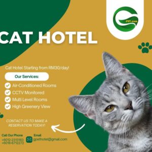 Cat Hotel-G-Pet Training and Boarding Centre