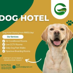 Dog Hotel-G-pet Training and Boarding Centre