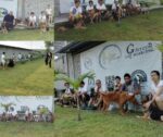 Dog Trainer Academy — Petopedia × G-Pet - Image 4