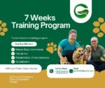 Dog Obedience Training — Petopedia × G-Pet - Image 2