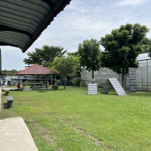 Event Space For Rent-G-Pet Training and Boarding Centre