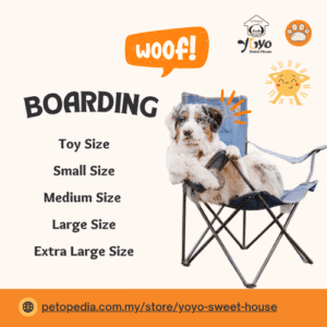 Dog Boarding- Yoyo Sweet House