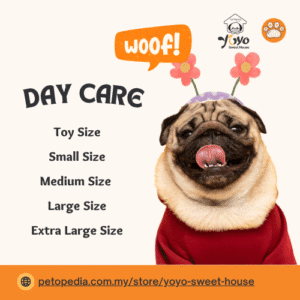 Dog Day Care- Yoyo Sweet House
