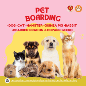 Pet Hotel-Same Heart Boarding