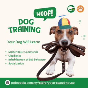 Dog Obedience Training-G-Pet.com