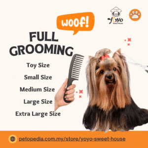 Full Grooming- YoYo Sweet House
