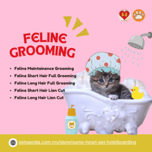 Cat Grooming-Same Heart Grooming