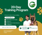 Dog Obedience Training — Petopedia × G-Pet - Image 3