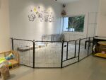 Dog Daycare by Size — Petopedia × YoYo Sweet House - Image 5