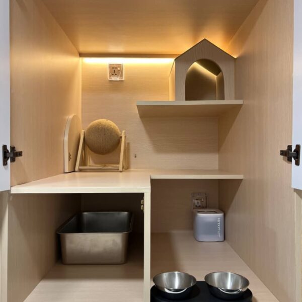 Actual CuteCats Cullinan Room, showing the raised hideaway, shelves, litter tray, feeding bowls and water fountain.