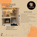CuteCats Cullinan Room: RM110 per night including two cats, RM20 per additional cat, maximum four cats. Actual room photograph and facilities.