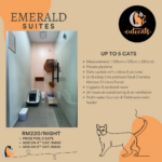 CuteCats Emerald Suites: RM220 per night including three cats; fourth cat RM40 extra, fifth cat RM30 extra; maximum five cats. Actual room photograph and facilities.