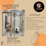 CuteCats Sapphire Suites: RM300 per night including four cats; fifth and sixth cats RM45 each extra, seventh and eighth cats RM40 each extra; maximum eight cats. Actual suite photograph and facilities.