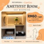 Petopedia × CuteCats Amethyst Room, RM60 per night for one cat, RM70 for two cats