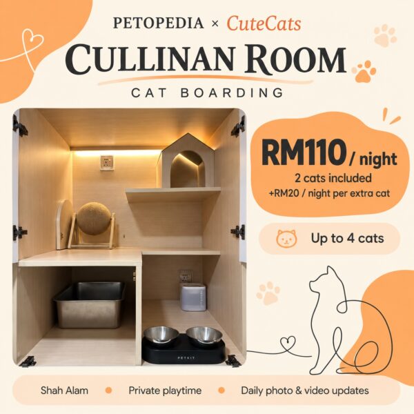 Petopedia × CuteCats Cullinan Room with actual room photo. RM110 per night includes 2 cats; RM20 per extra cat; maximum 4 cats.