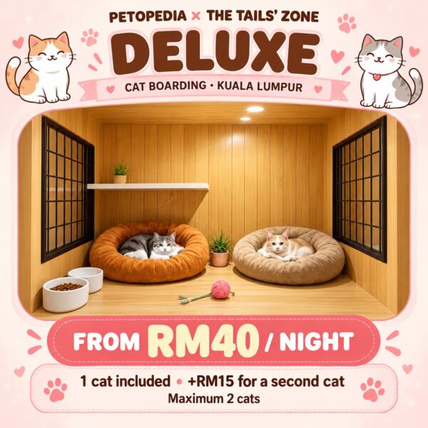 Petopedia × The Tails’ Zone Deluxe cat boarding, from RM40 per night, maximum two cats.