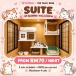 Petopedia × The Tails’ Zone Suite cat boarding, from RM70 per night, maximum four cats.