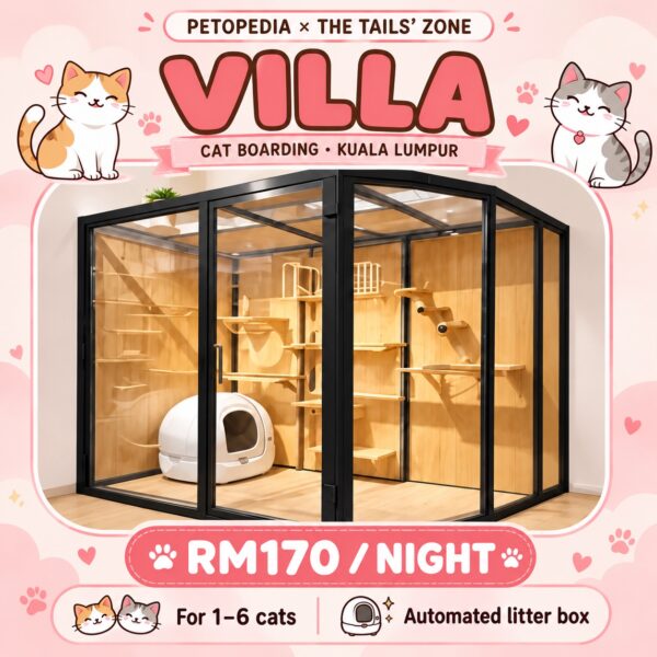 Petopedia × The Tails’ Zone Villa cat boarding, RM170 per night for 1–6 cats, with automated litter box.